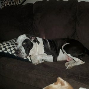 Meet your Posher, Beth